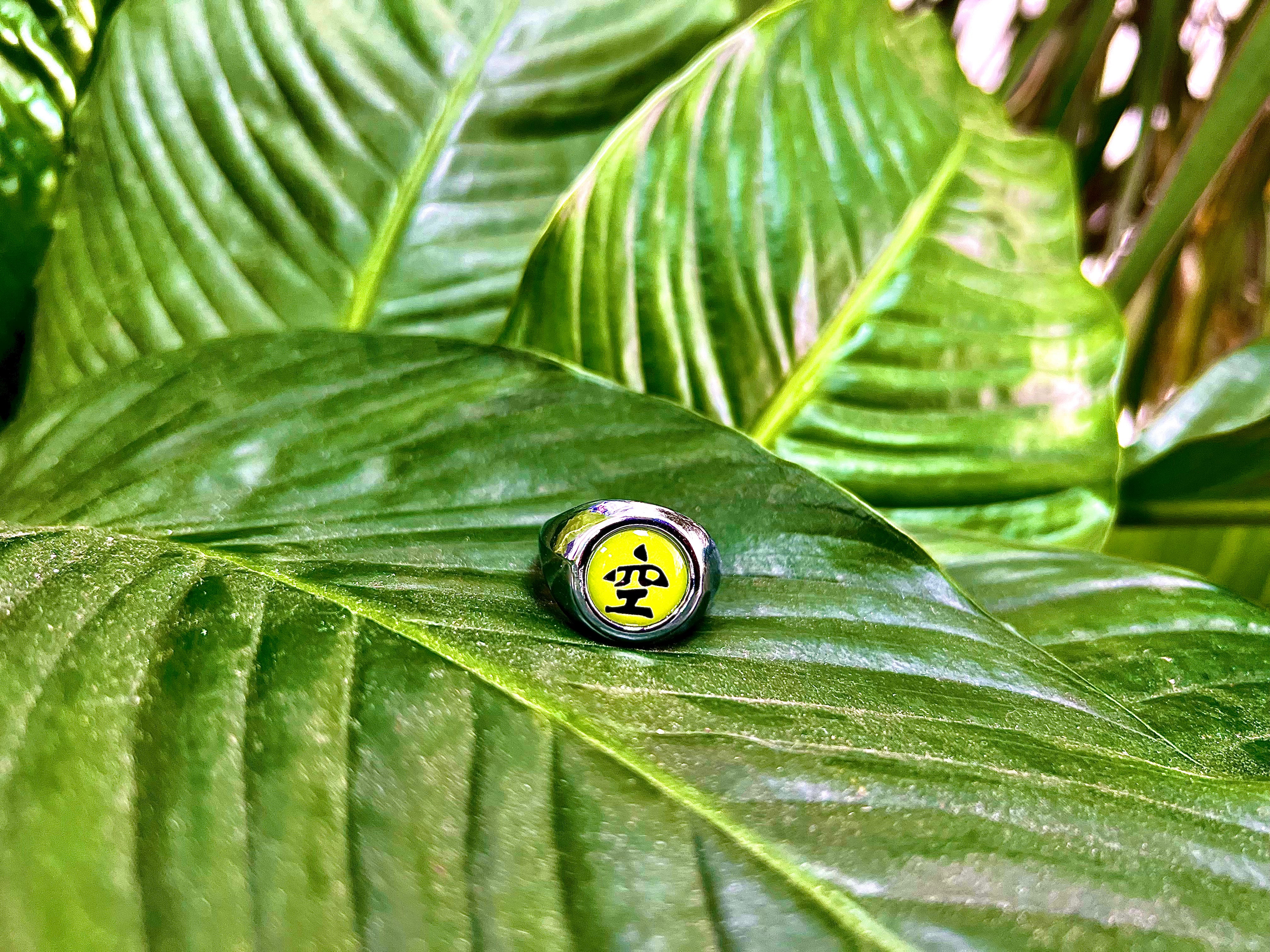 Orochimaru´s Akatsuki Ring - Naruto