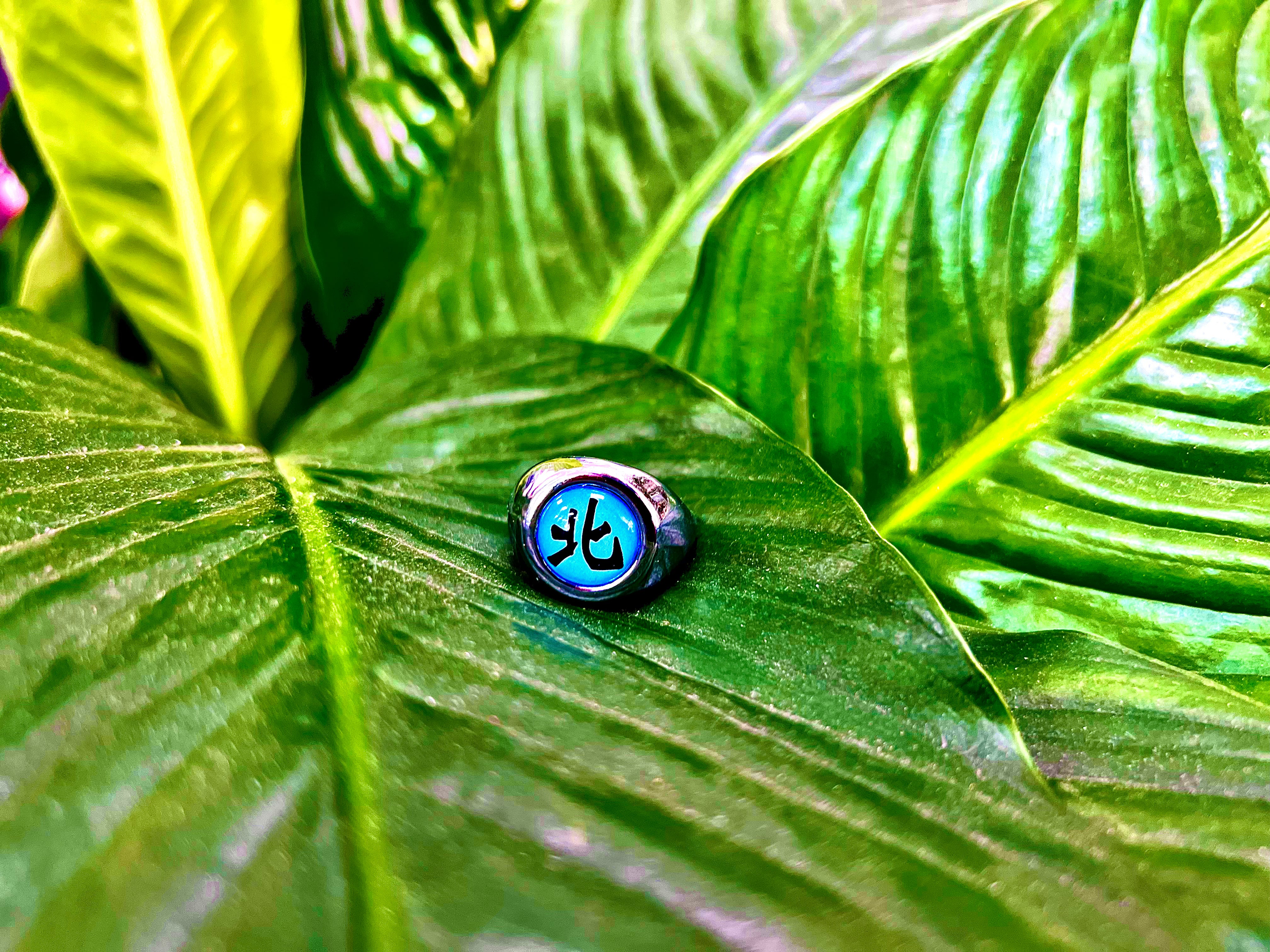 Kakuzu´s Akatsuki Ring - Naruto