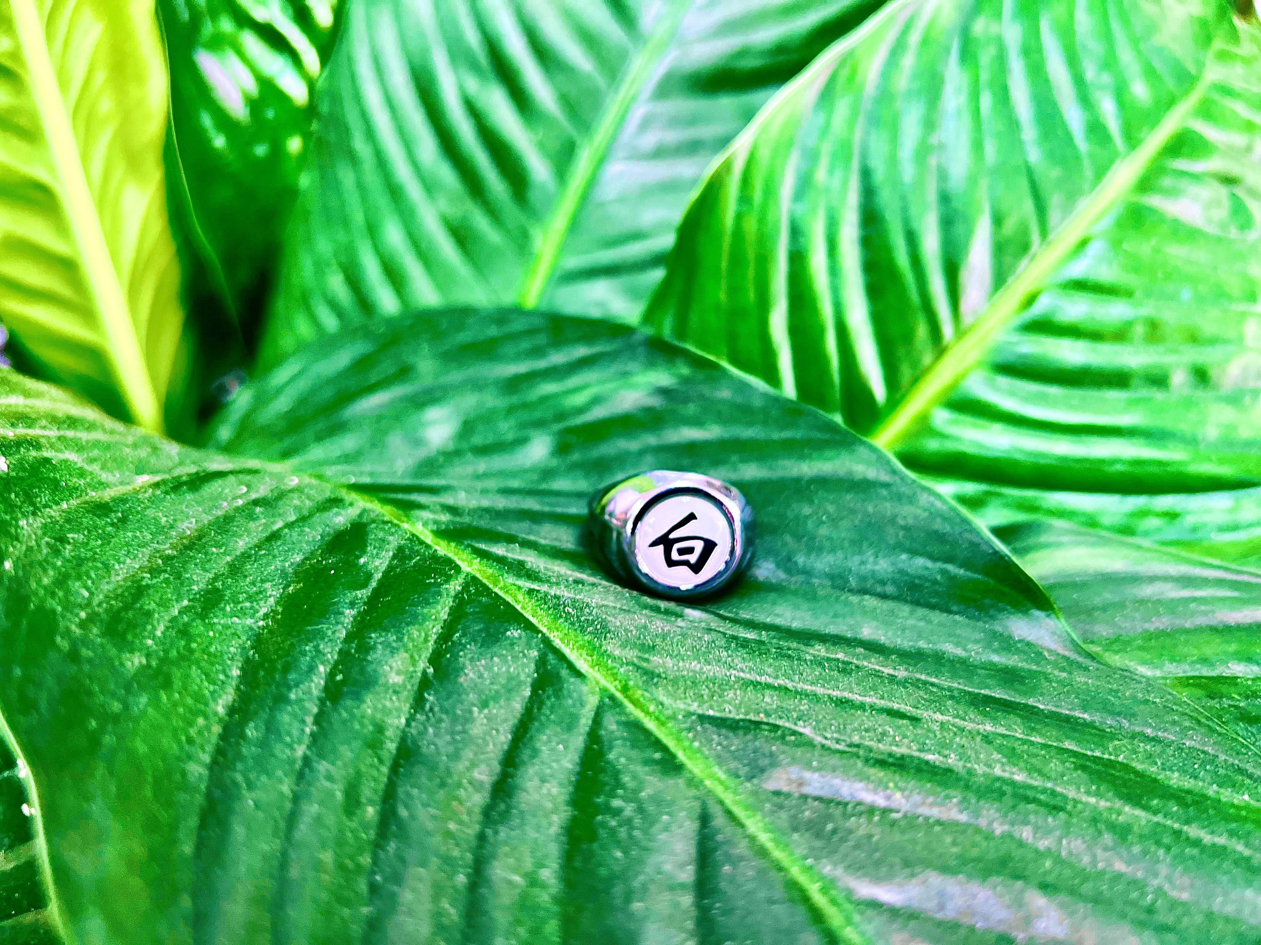 Konan´s Akatsuki Ring- Naruto